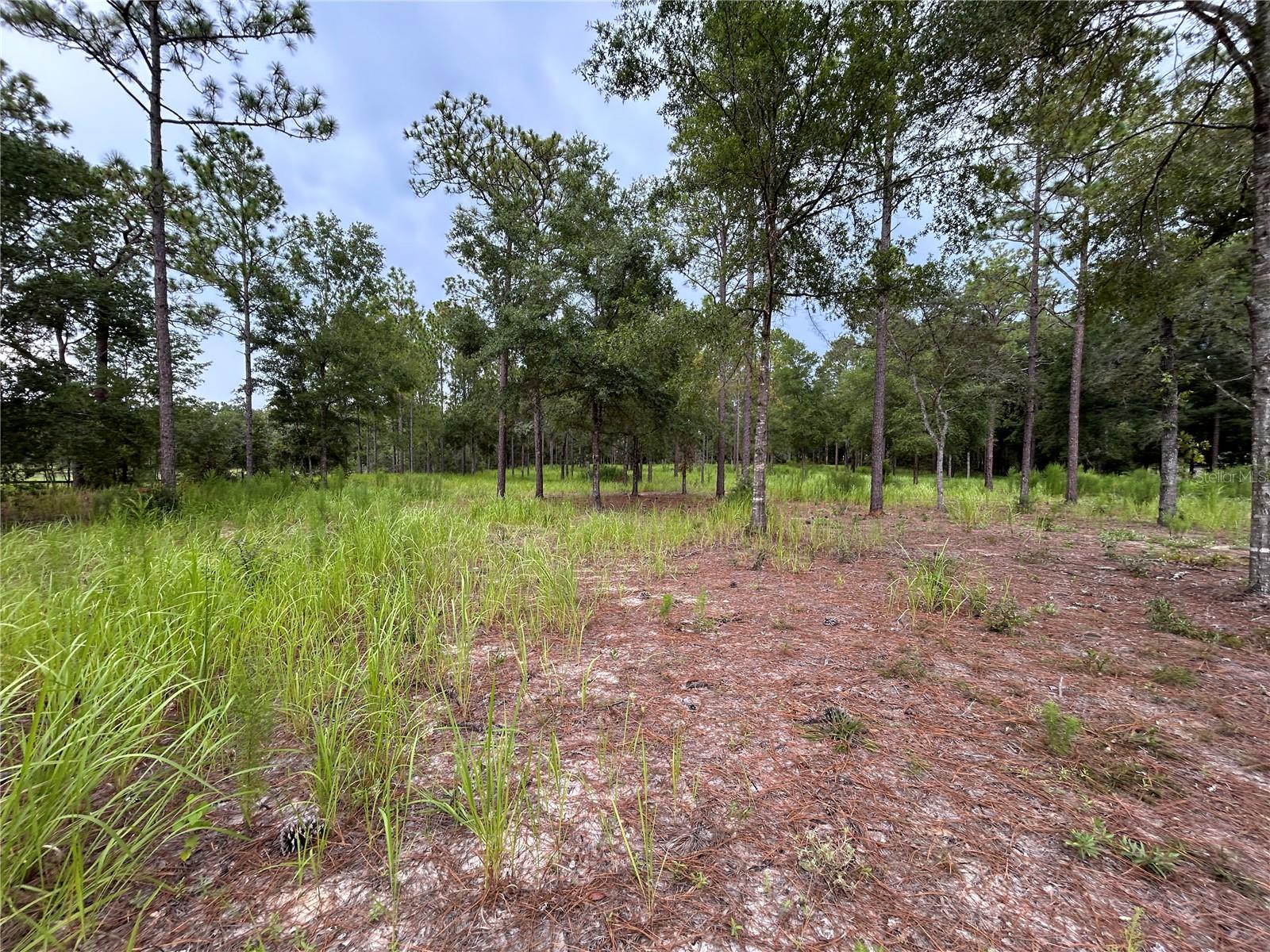 Image 4 of 10 For 16051 44 Street