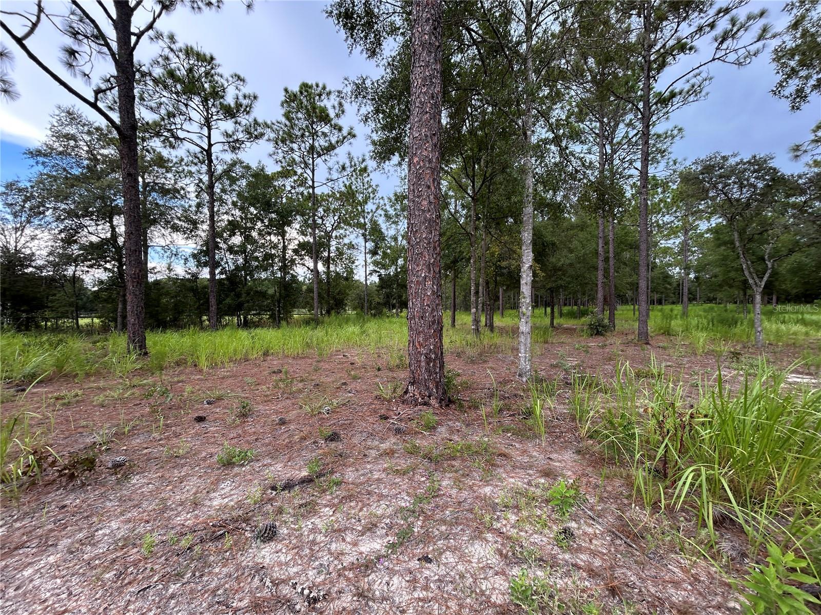 Image 8 of 10 For 16051 44 Street