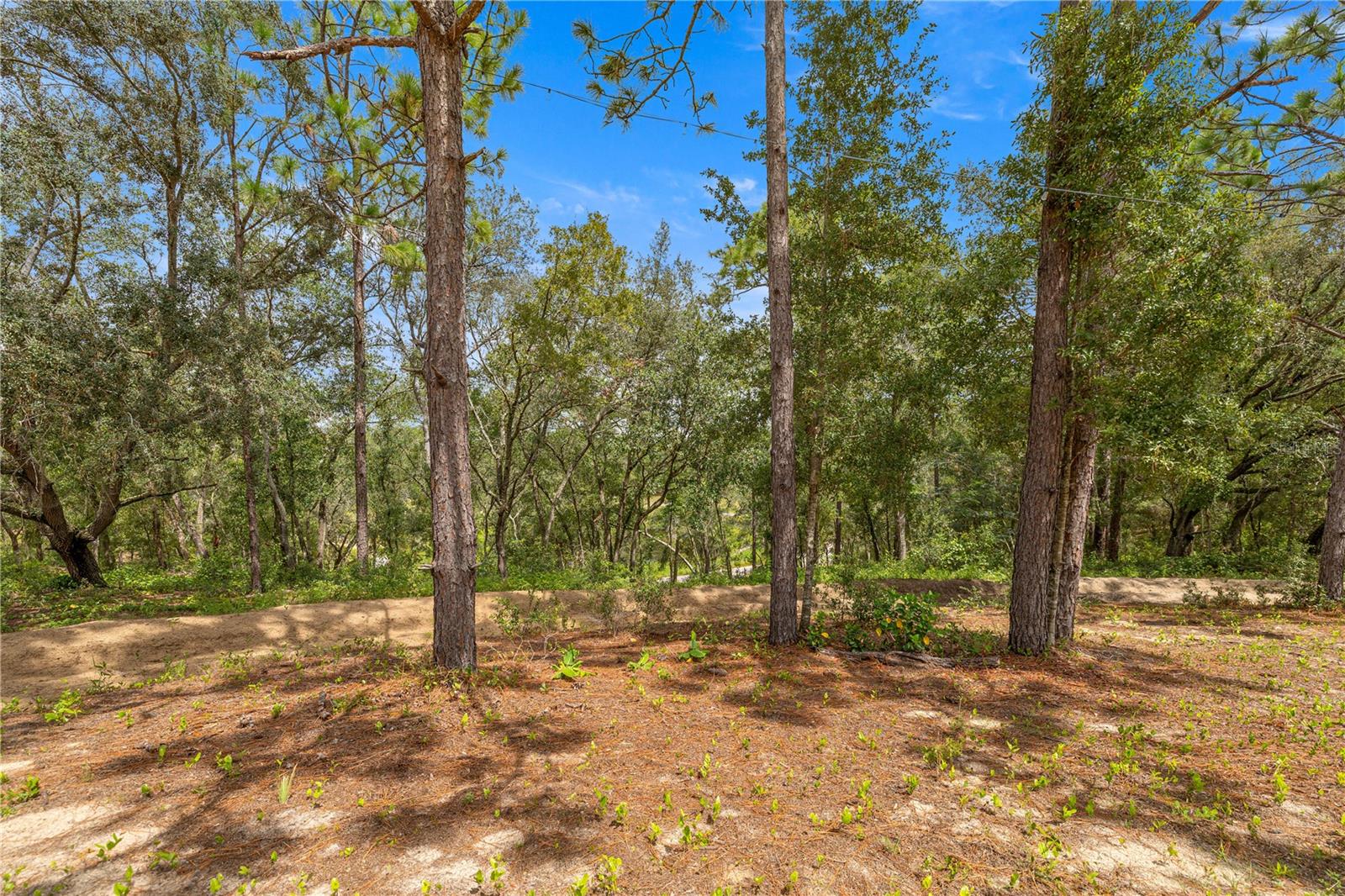 Image 23 of 33 For 15901 113 St Rd