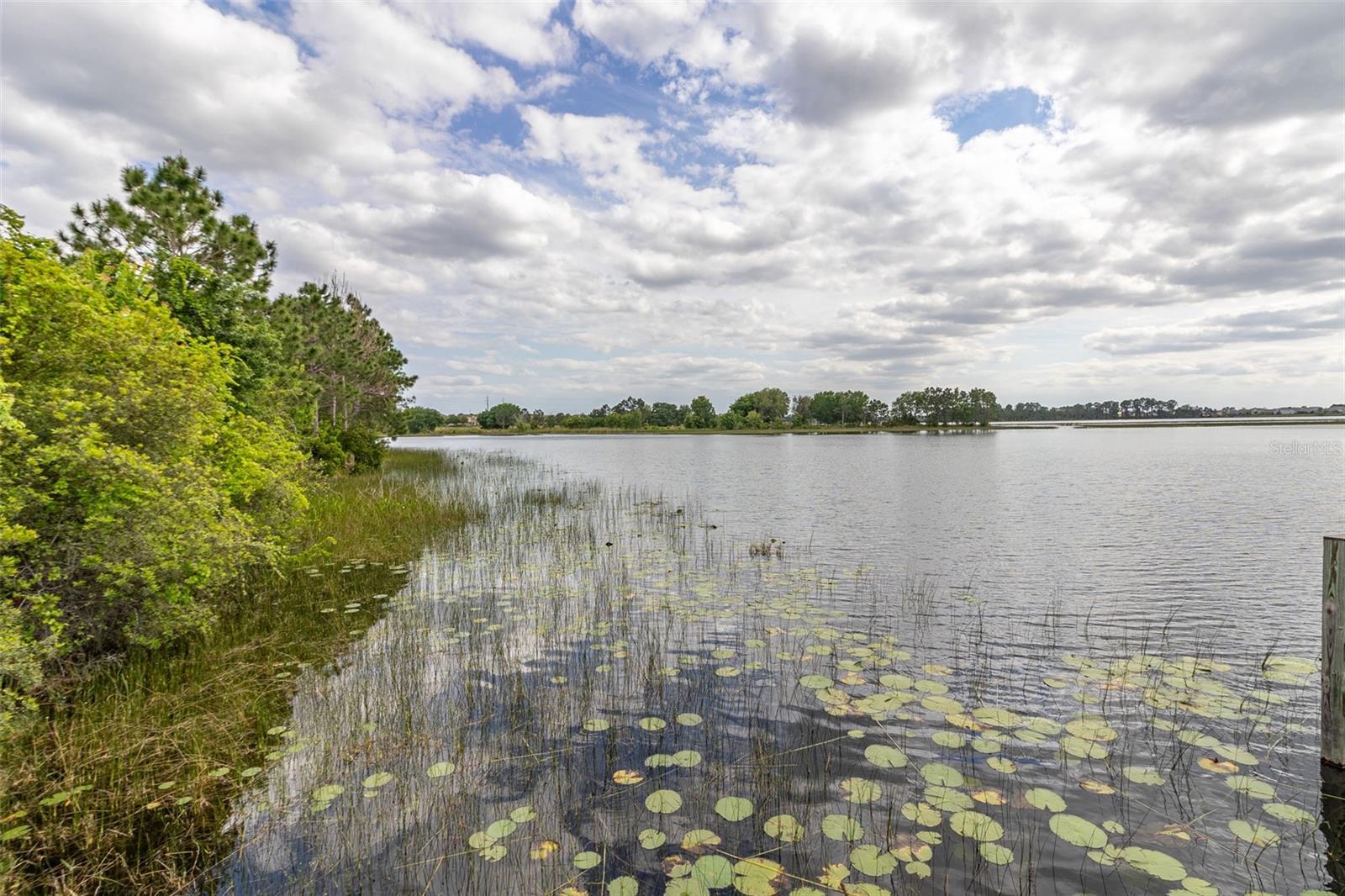 Image 67 of 72 For 9263 Quest Alley Alley