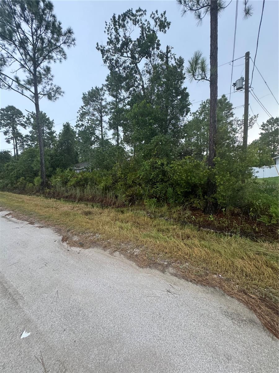 Listing Details for 1362 East Parkway, DELAND, FL 32724