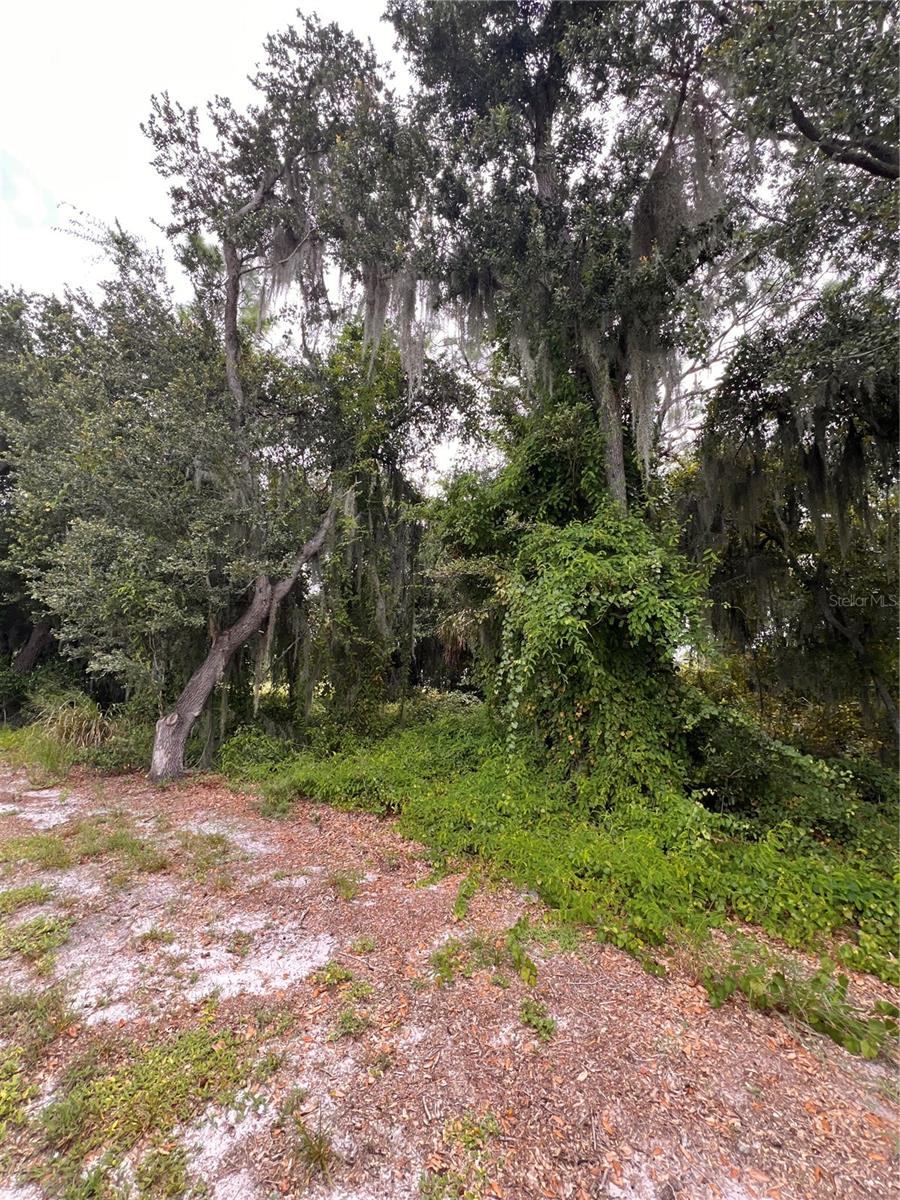 Details for 324 Cinema Drive, LAKE PLACID, FL 33852