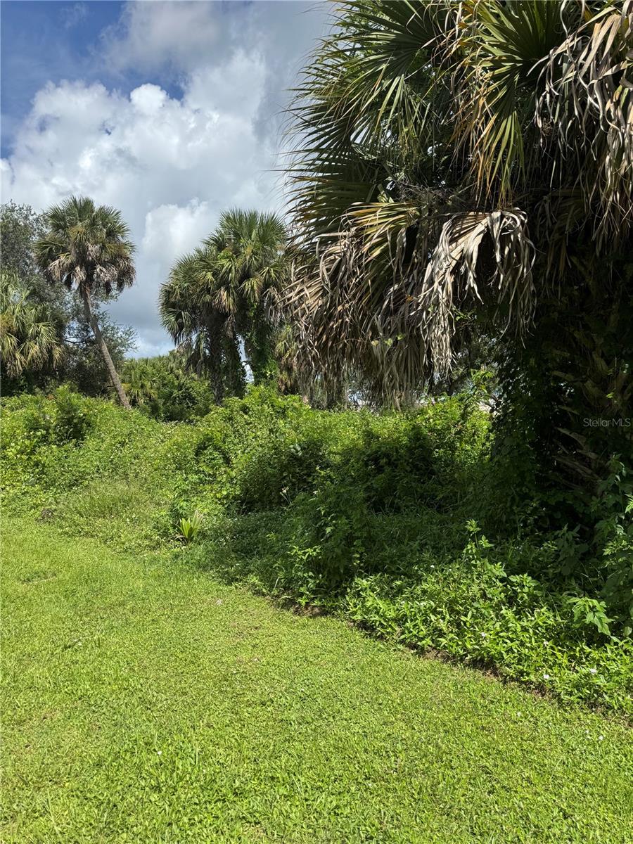 Image 2 of 3 For 101 Tudor Road Sw