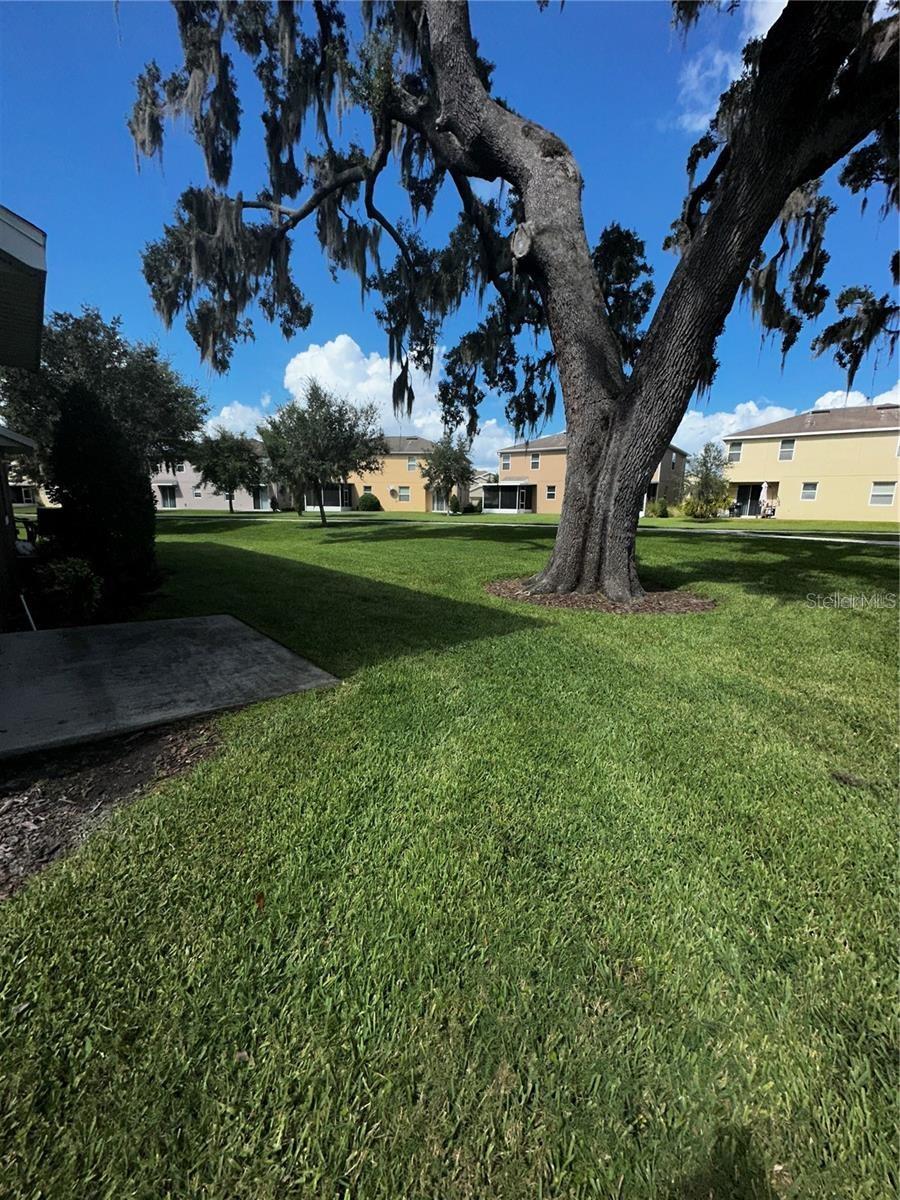 Image 18 of 19 For 15667 Boggy Oak Circle B