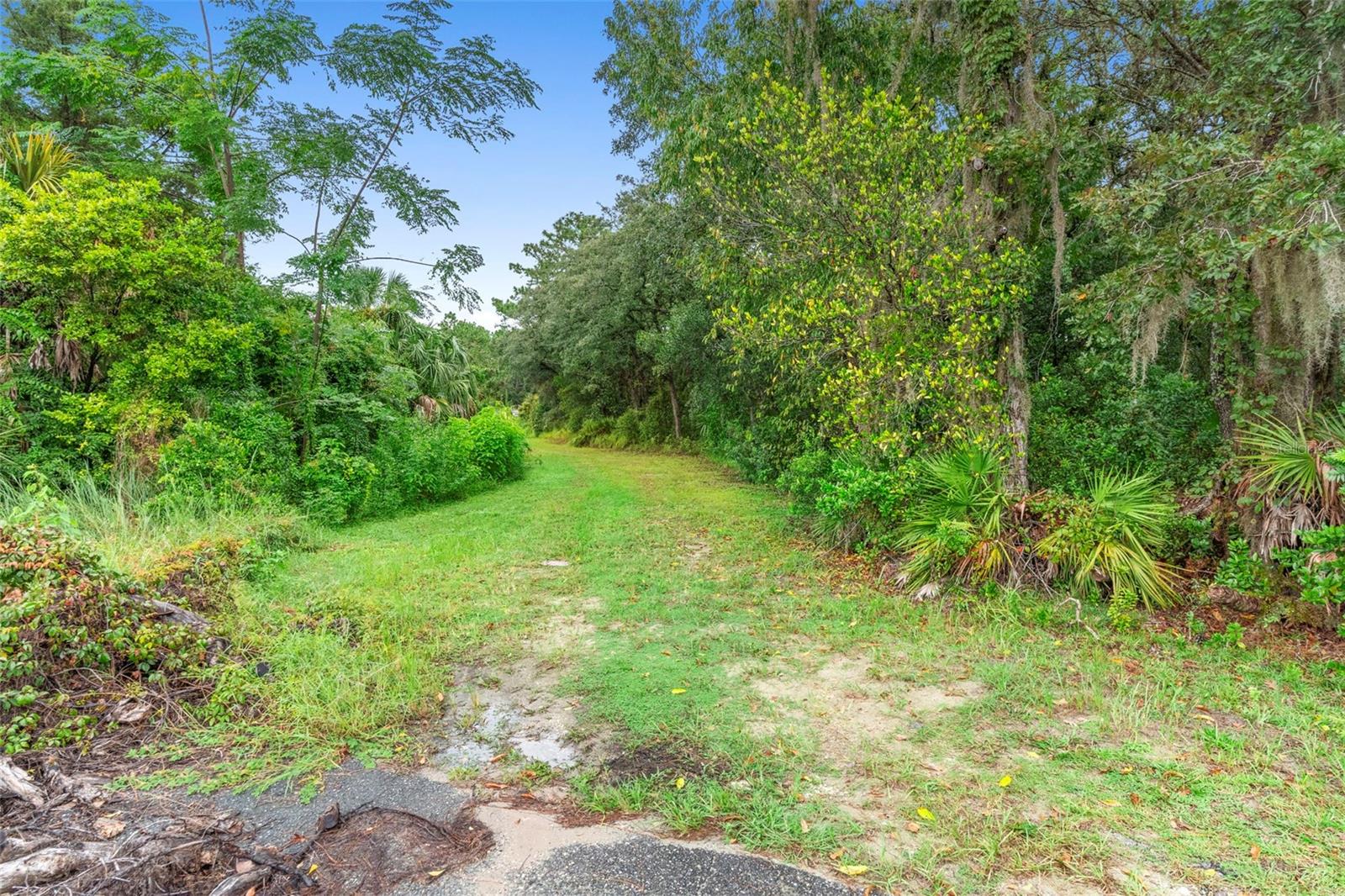 Image 37 of 53 For 6011 Homosassa Trail
