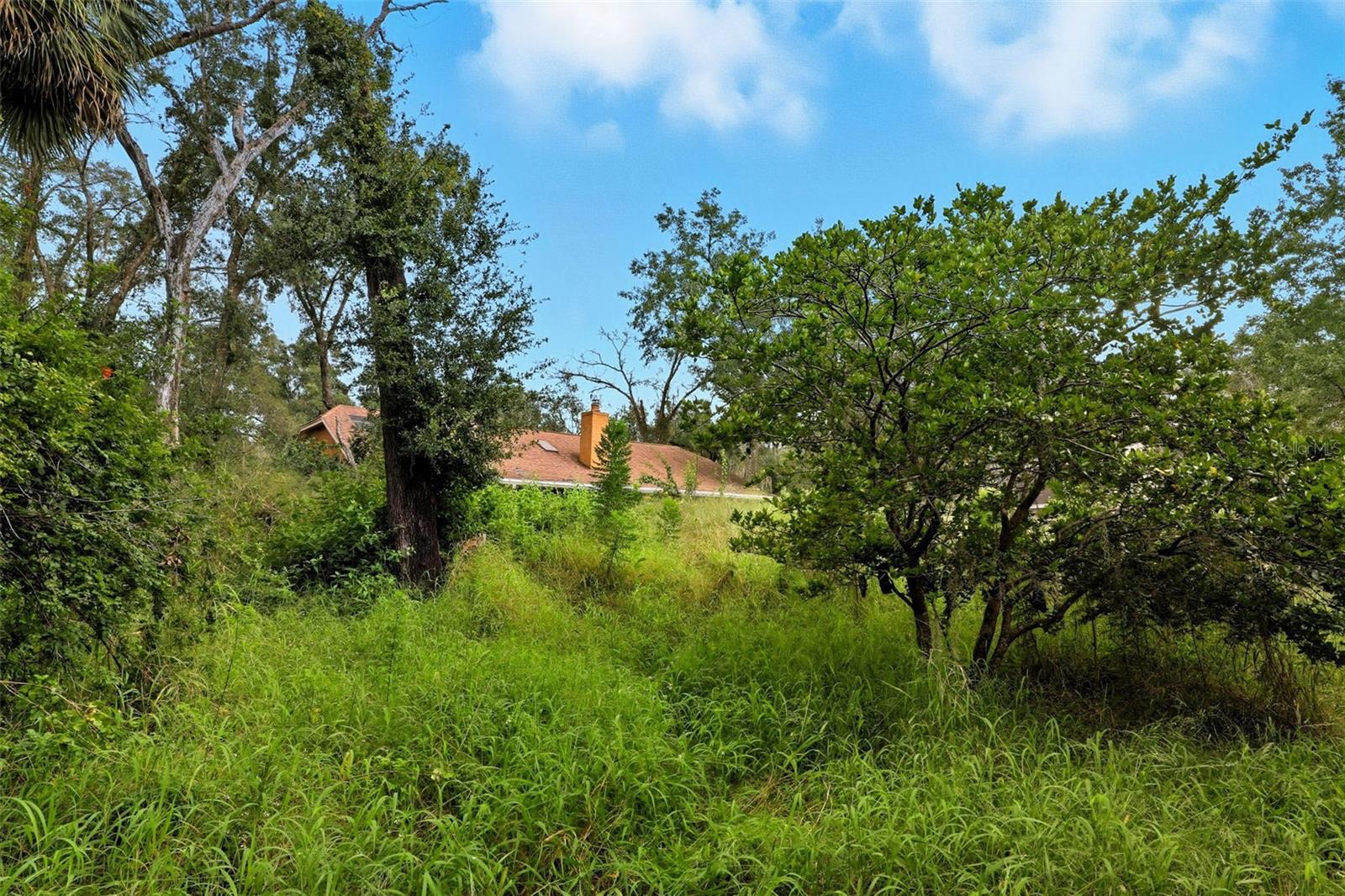 Image 30 of 35 For 1354 Deer Lake Circle