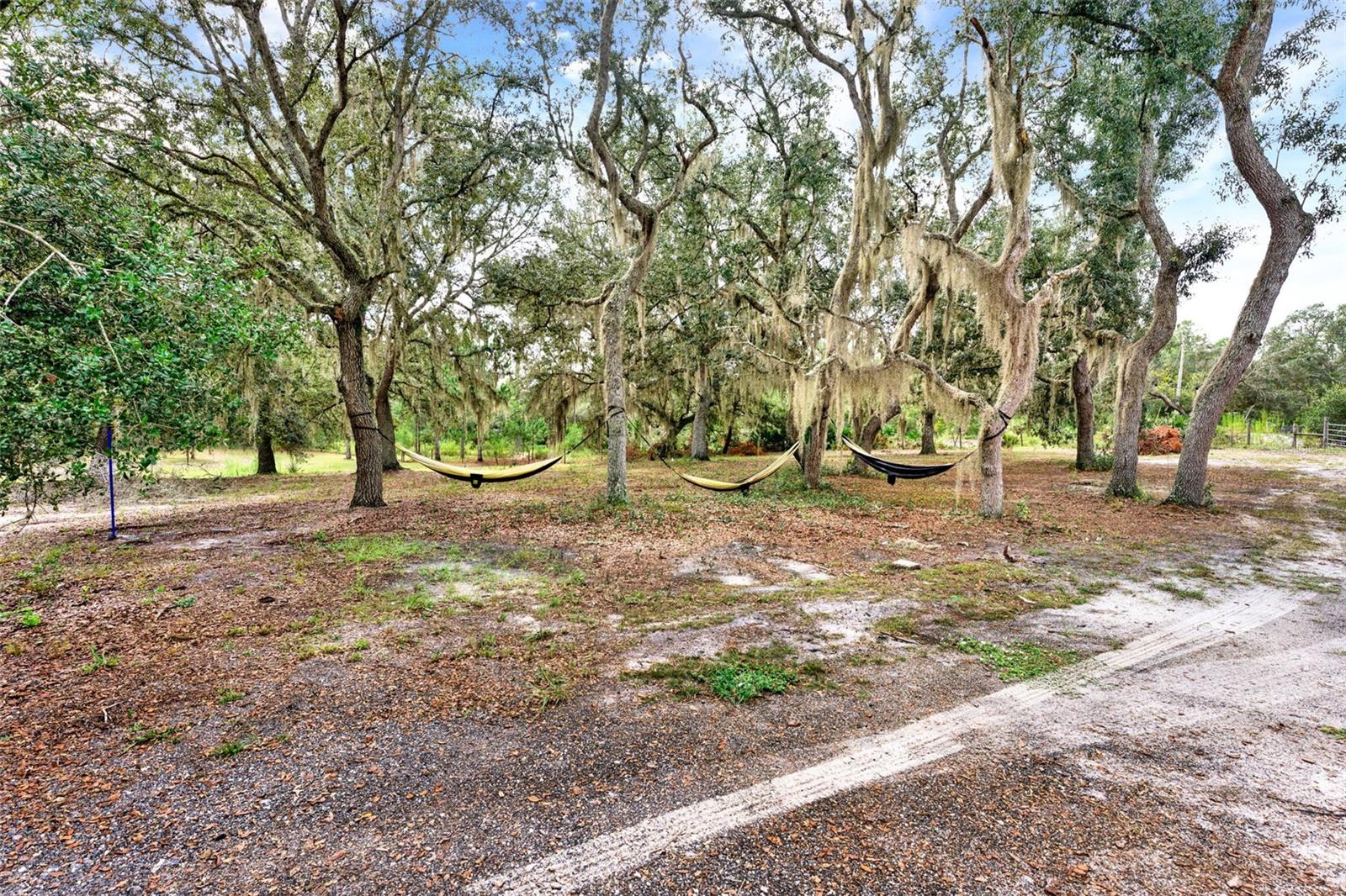 Image 21 of 38 For 32645 Red Oak Drive