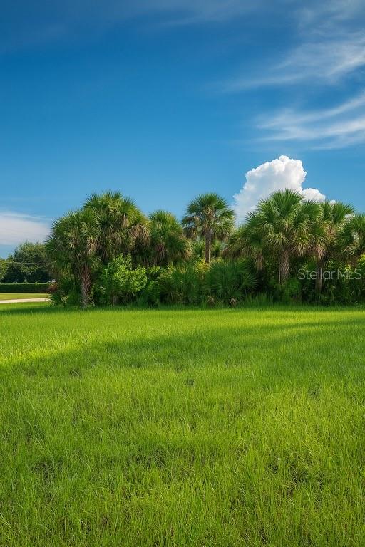 Image 27 of 28 For 200 Farley Street Sw