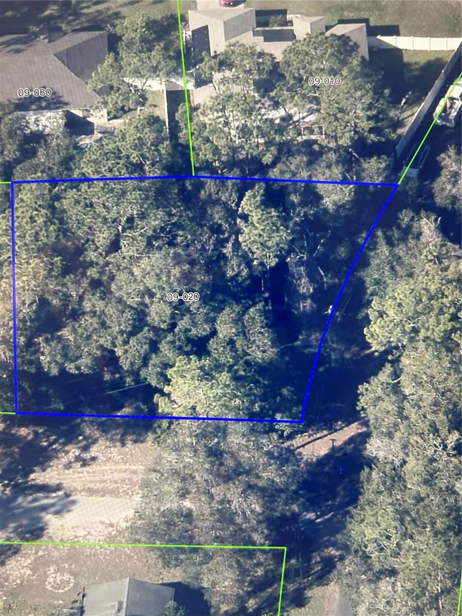 Details for 5230 Brahorn Road, APOPKA, FL 32712