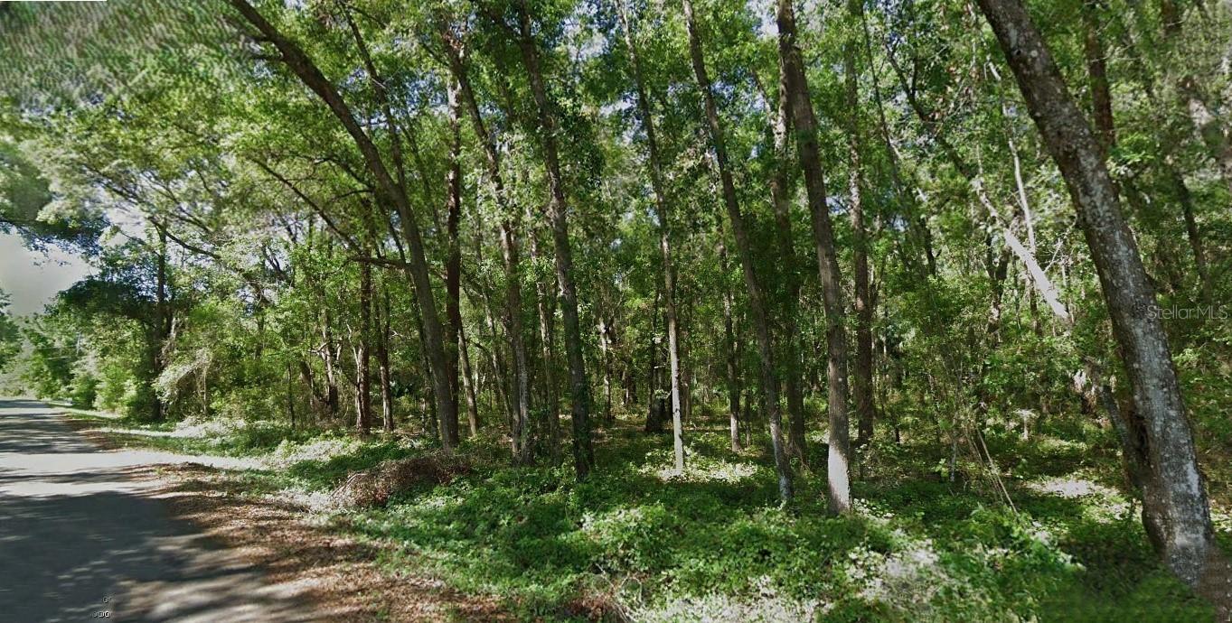 Details for Sequoia Loop Trace, OCKLAWAHA, FL 32179