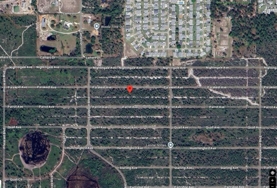 Image 3 of 4 For 629 Parakeet Avenue