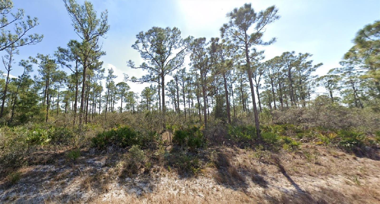 Details for 3334 Barn Swallow Avenue, LAKE PLACID, FL 33852