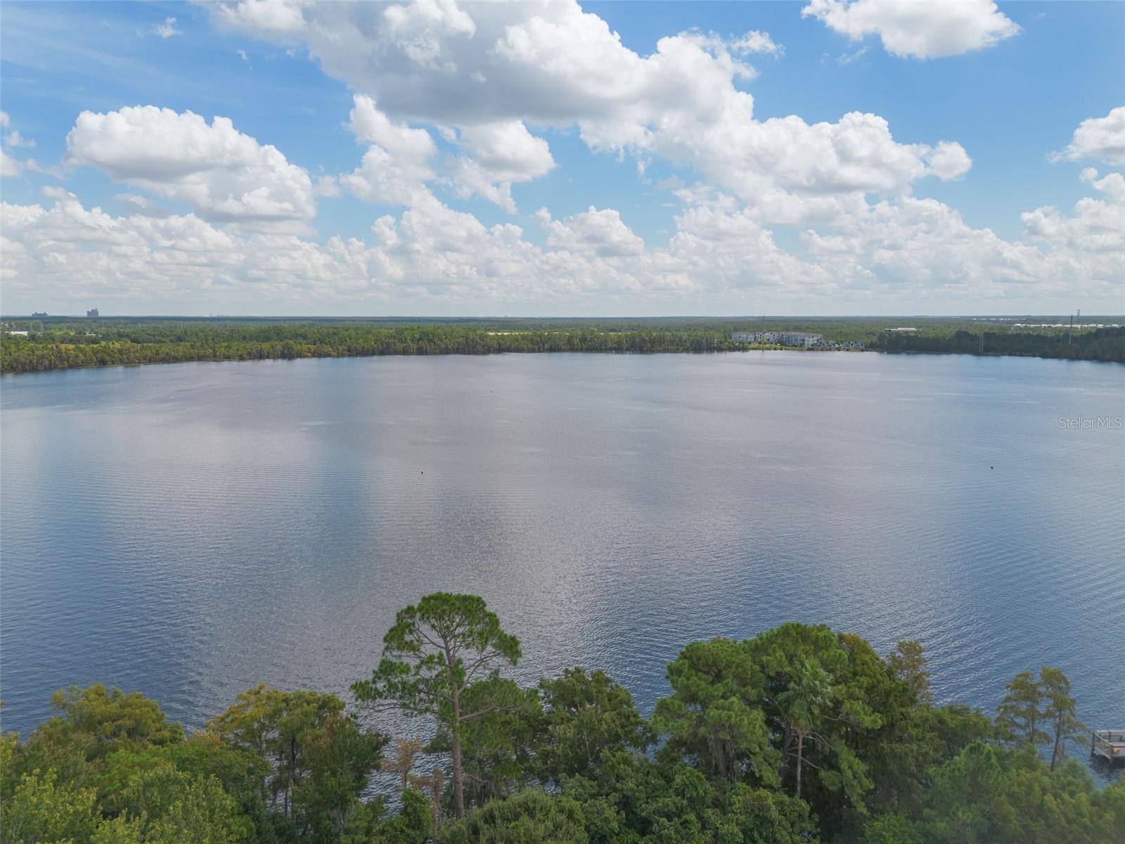 Image 33 of 42 For 13427 Blue Heron Beach Drive 1003