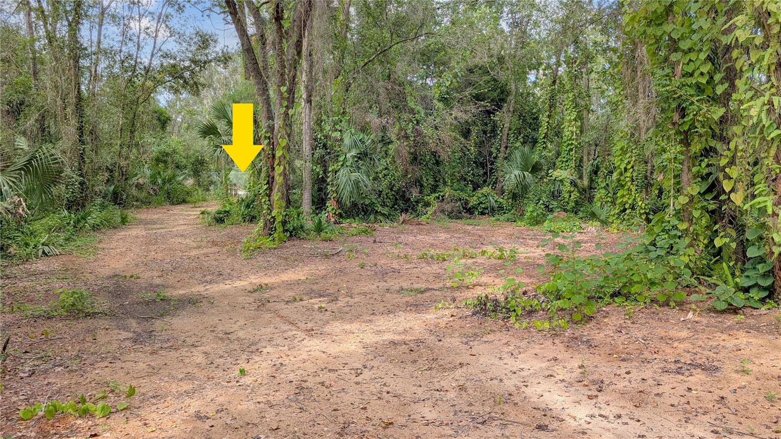 Image 8 of 26 For 25212 Luke Street