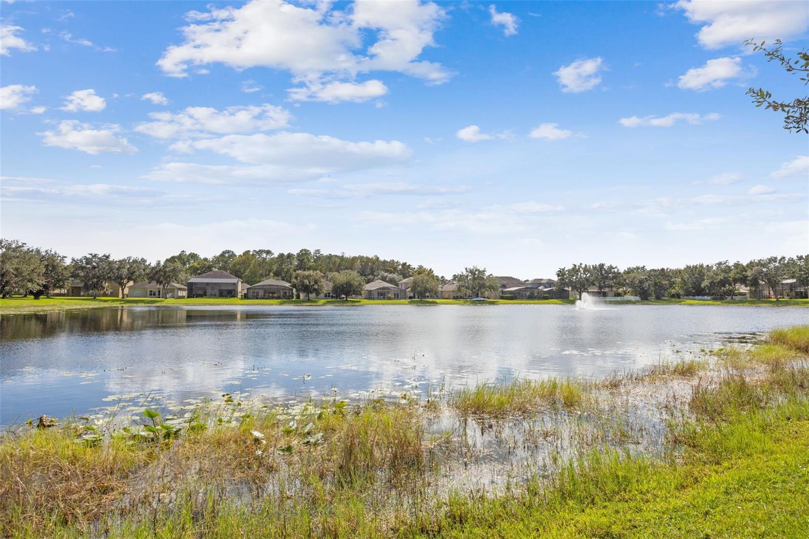 Image 47 of 60 For 11108 Cypress Trail Drive