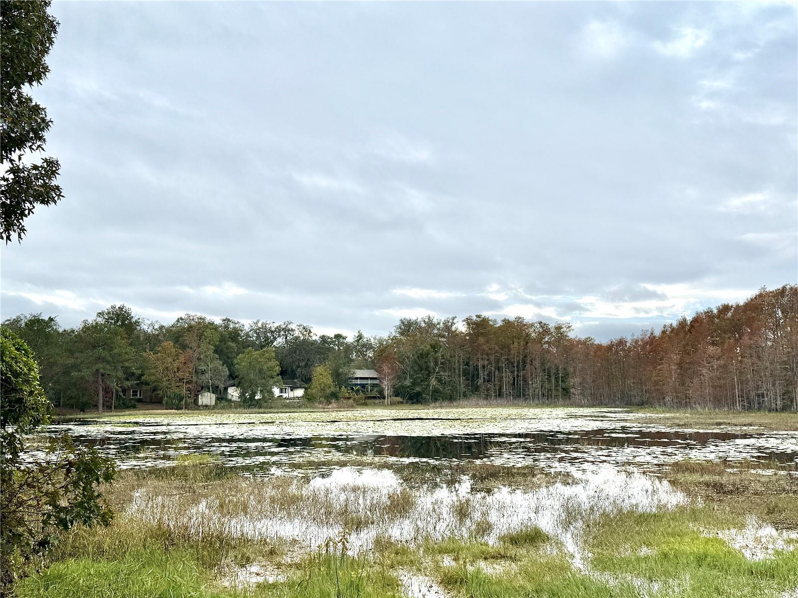 Image 3 of 22 For 1260 Seminola Boulevard
