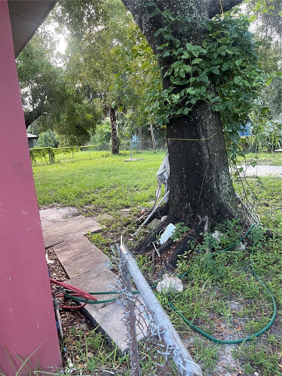 Image 10 of 20 For 2561 Parkway Street