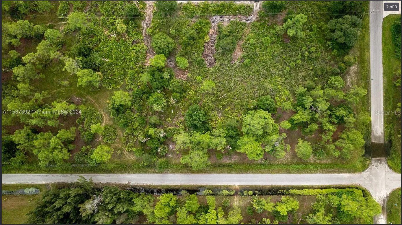 Image 2 of 3 For 1617 Jackson Avenue