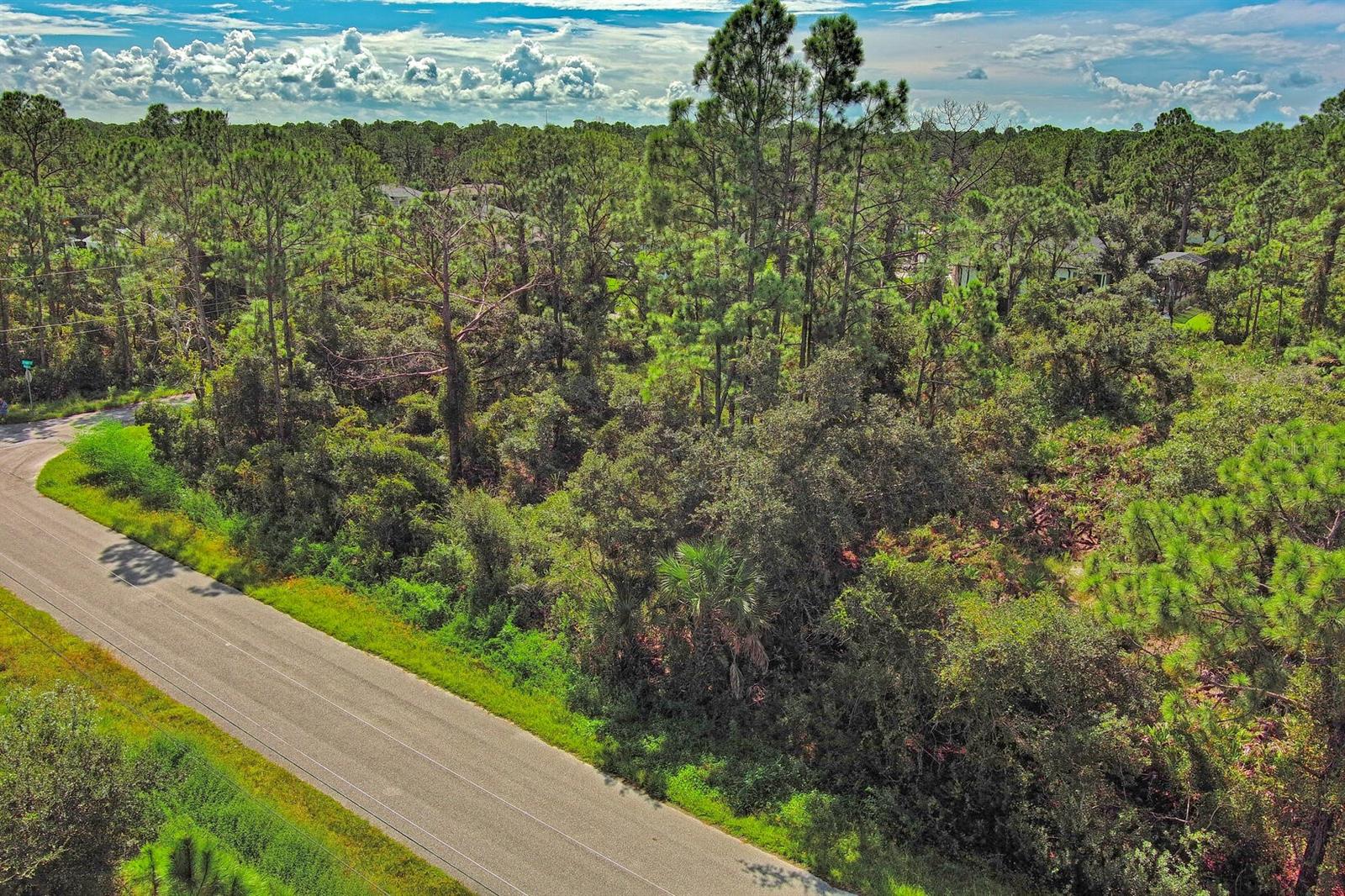 Image 3 of 11 For Casanova Avenue