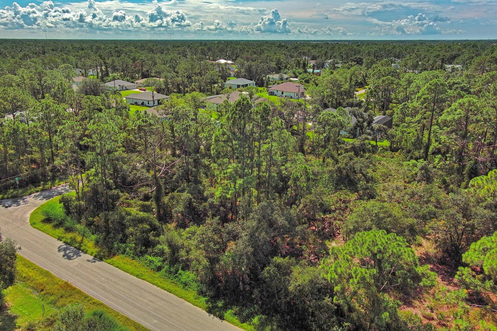 Image 5 of 11 For Casanova Avenue