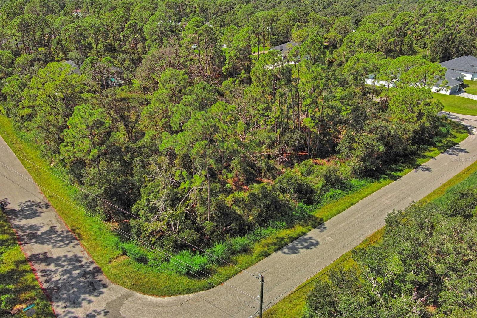 Image 7 of 11 For Casanova Avenue