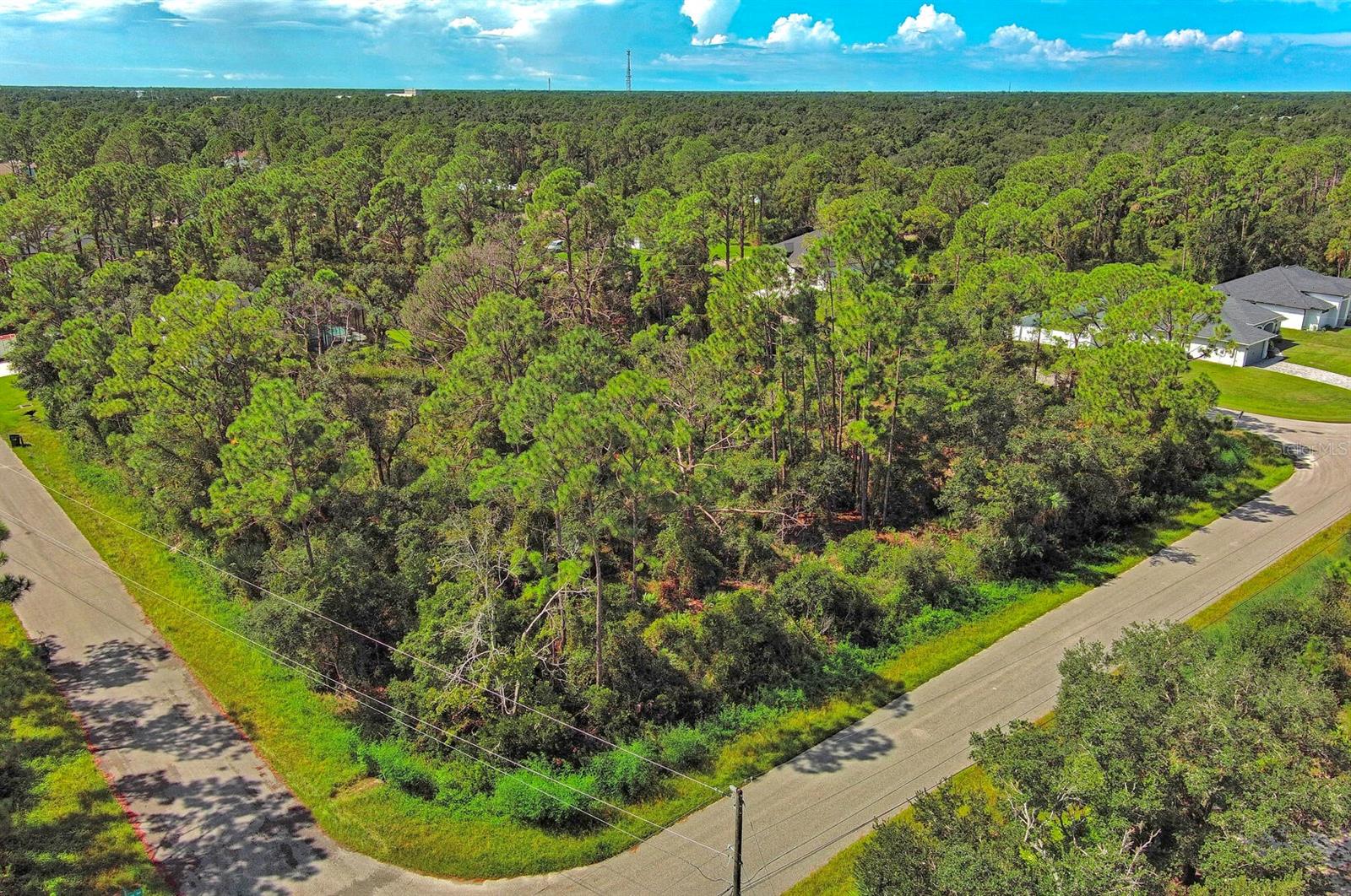 Image 8 of 11 For Casanova Avenue