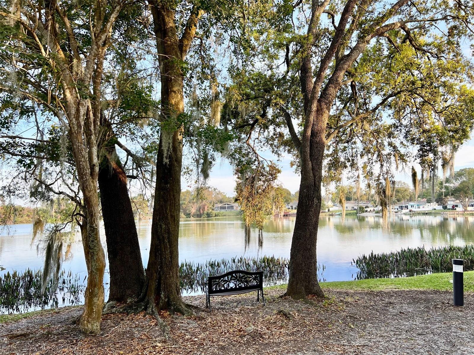 Image 32 of 45 For 1255 Lake Willisara Circle Ge