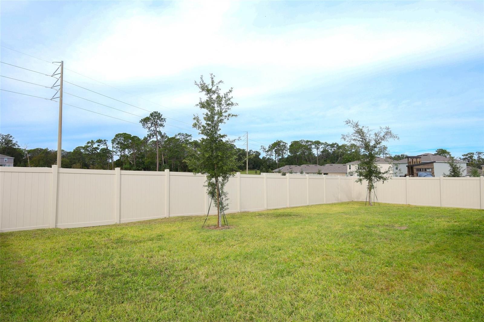 Image 34 of 43 For 33417 Affirmed Way