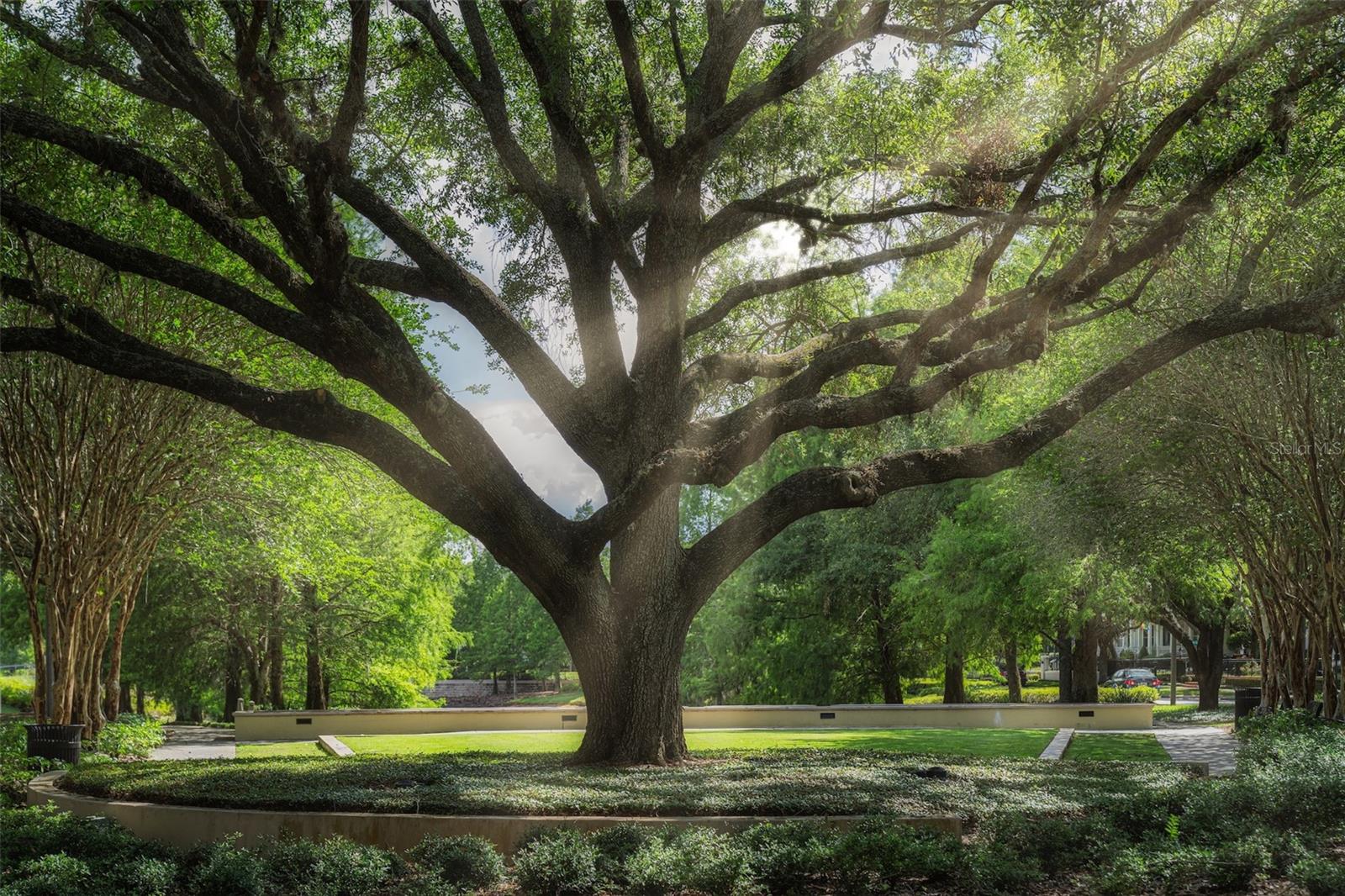 Image 57 of 59 For 3838 Haws Lane