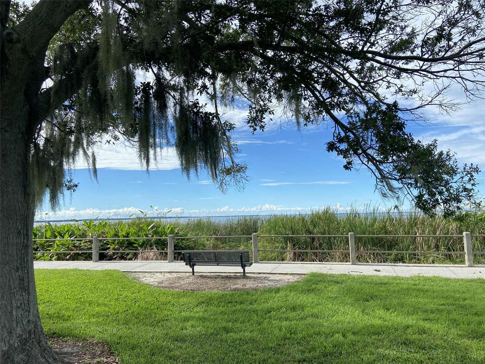 Image 32 of 41 For 2009 Adair Street