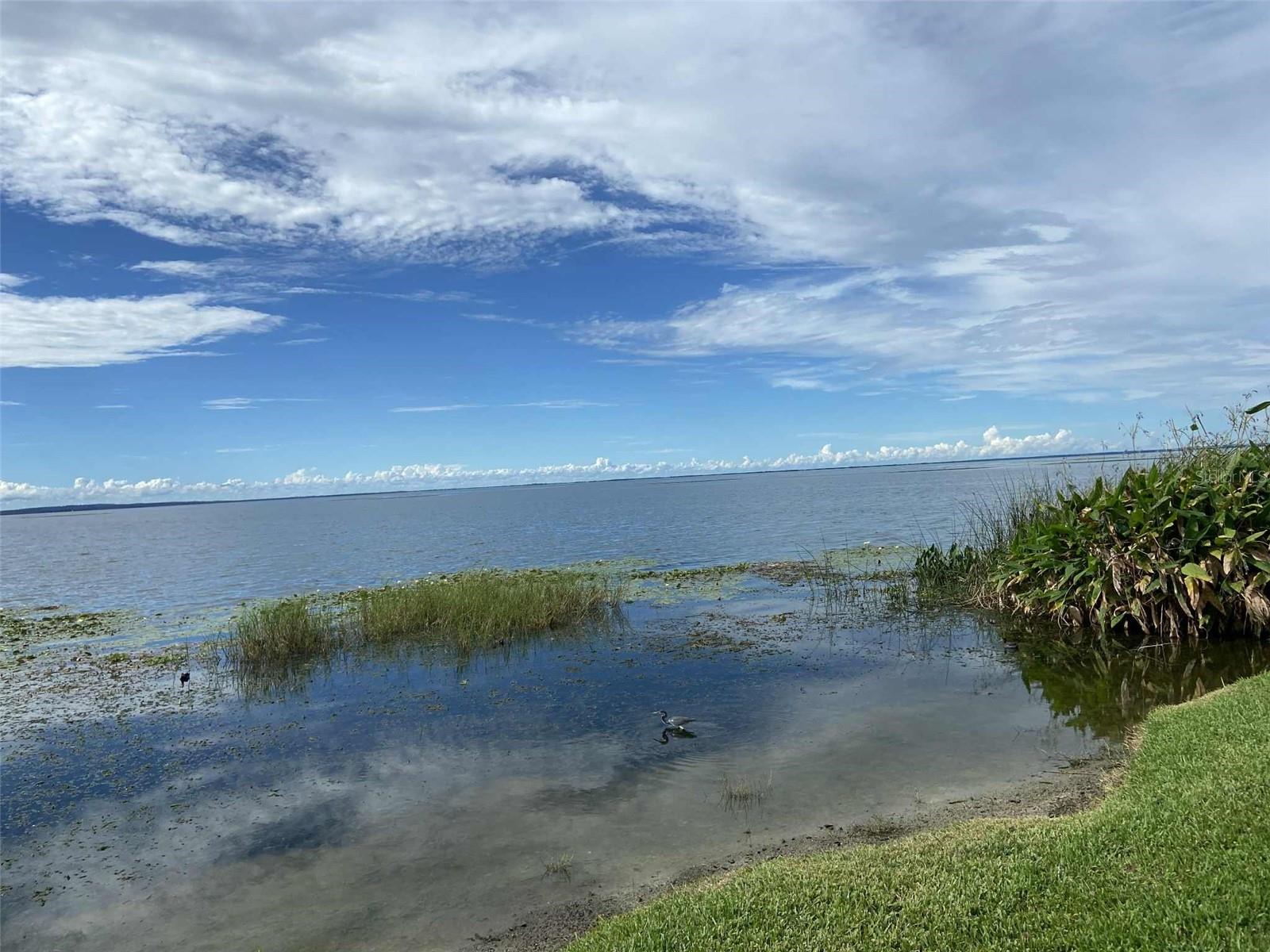 Image 33 of 41 For 2009 Adair Street