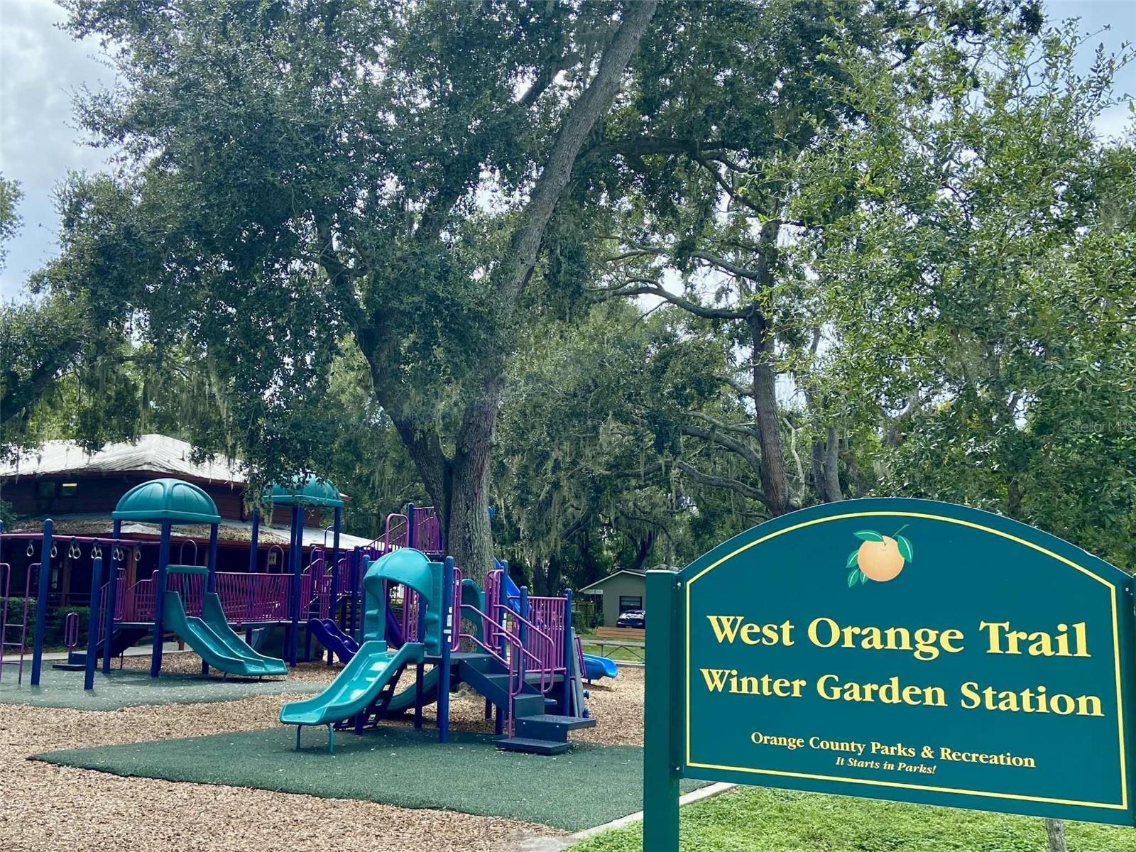 Image 39 of 41 For 2009 Adair Street