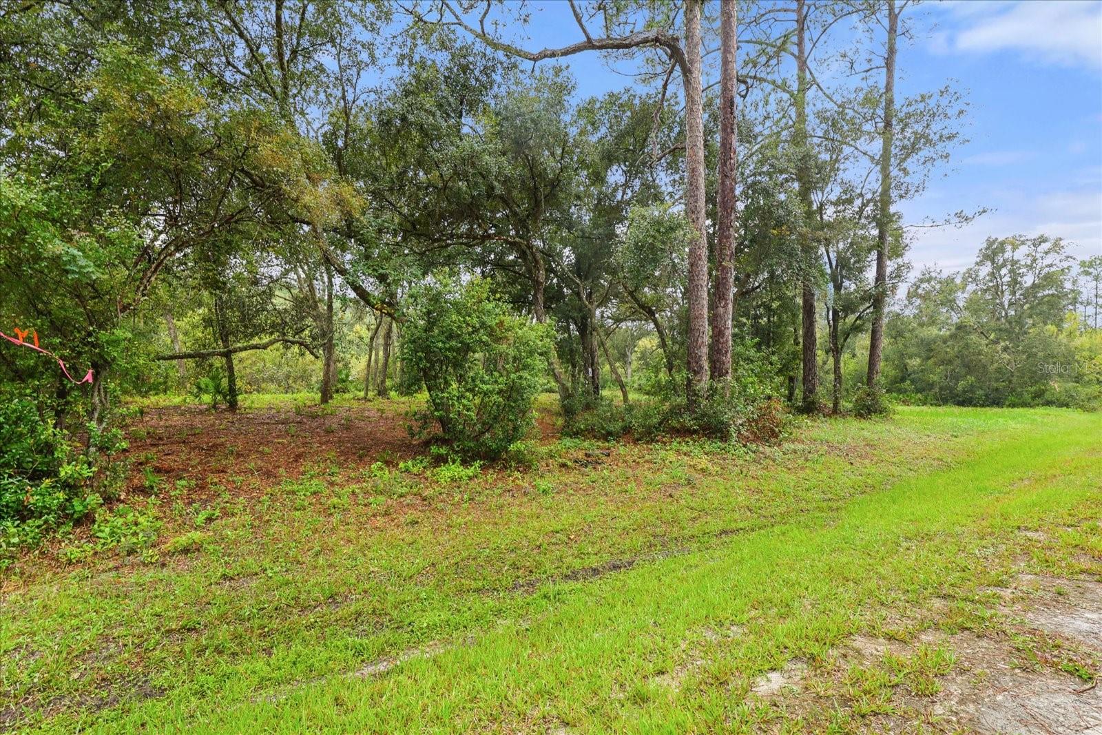 Image 4 of 20 For Creekstone Street
