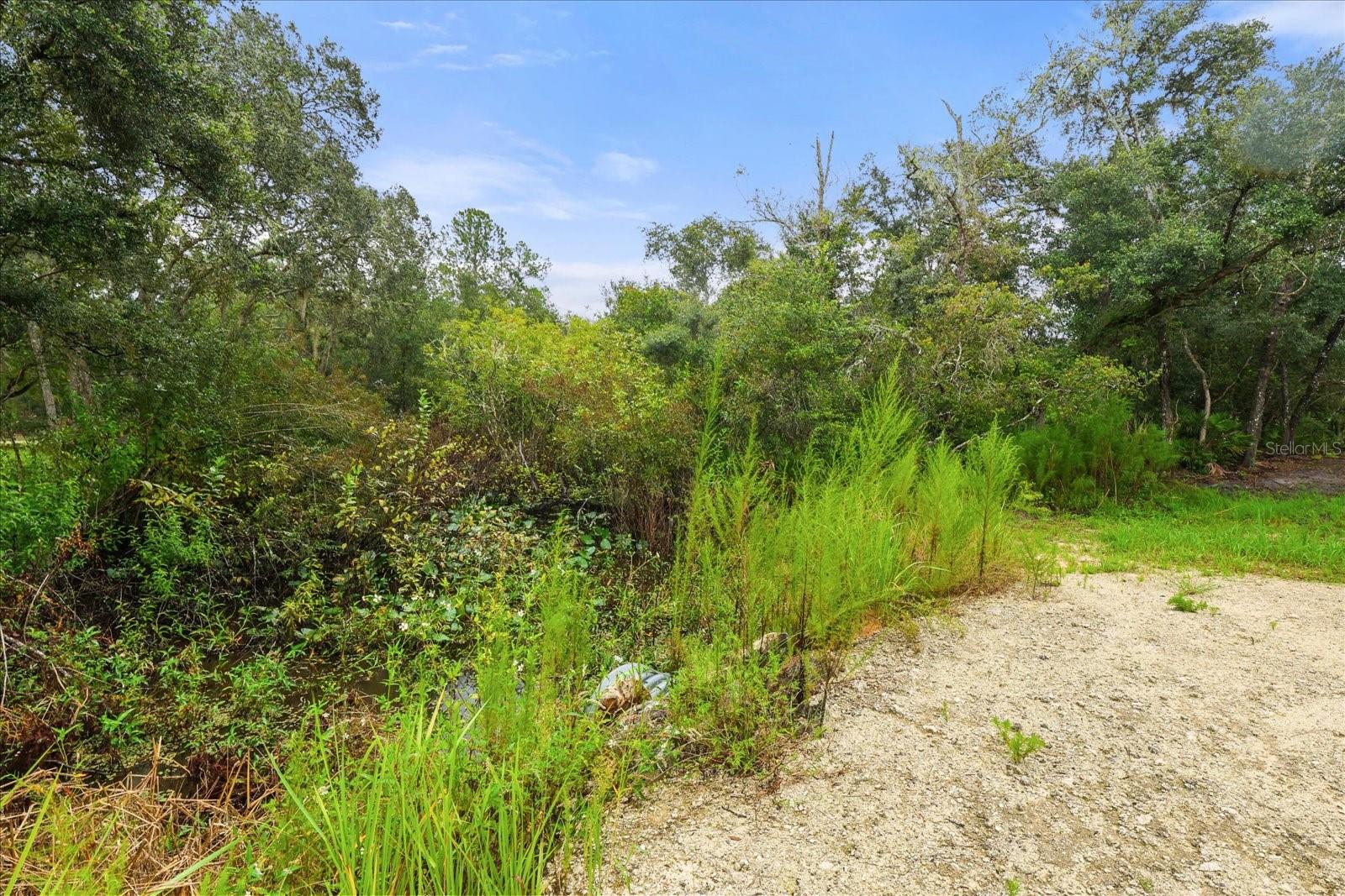 Image 5 of 20 For Creekstone Street