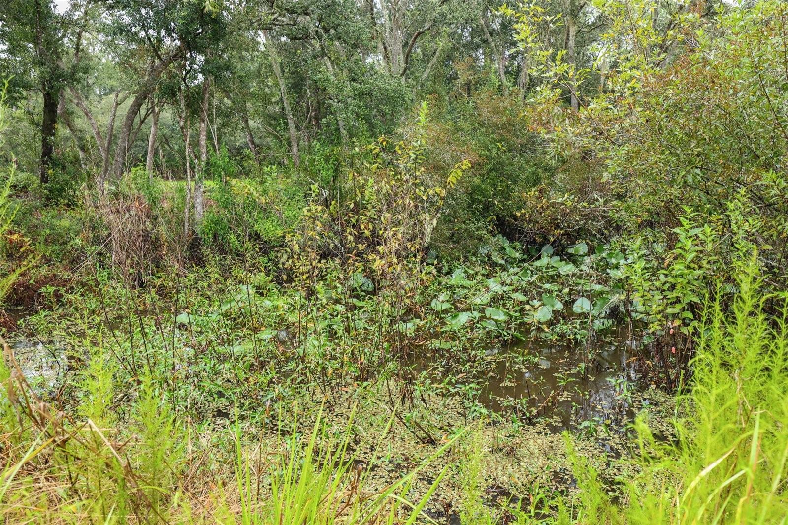 Image 7 of 20 For Creekstone Street
