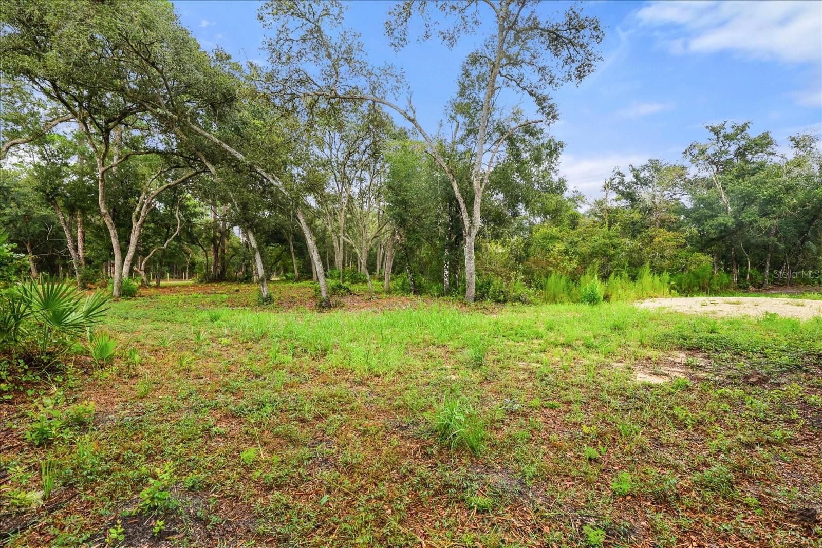 Image 9 of 20 For Creekstone Street