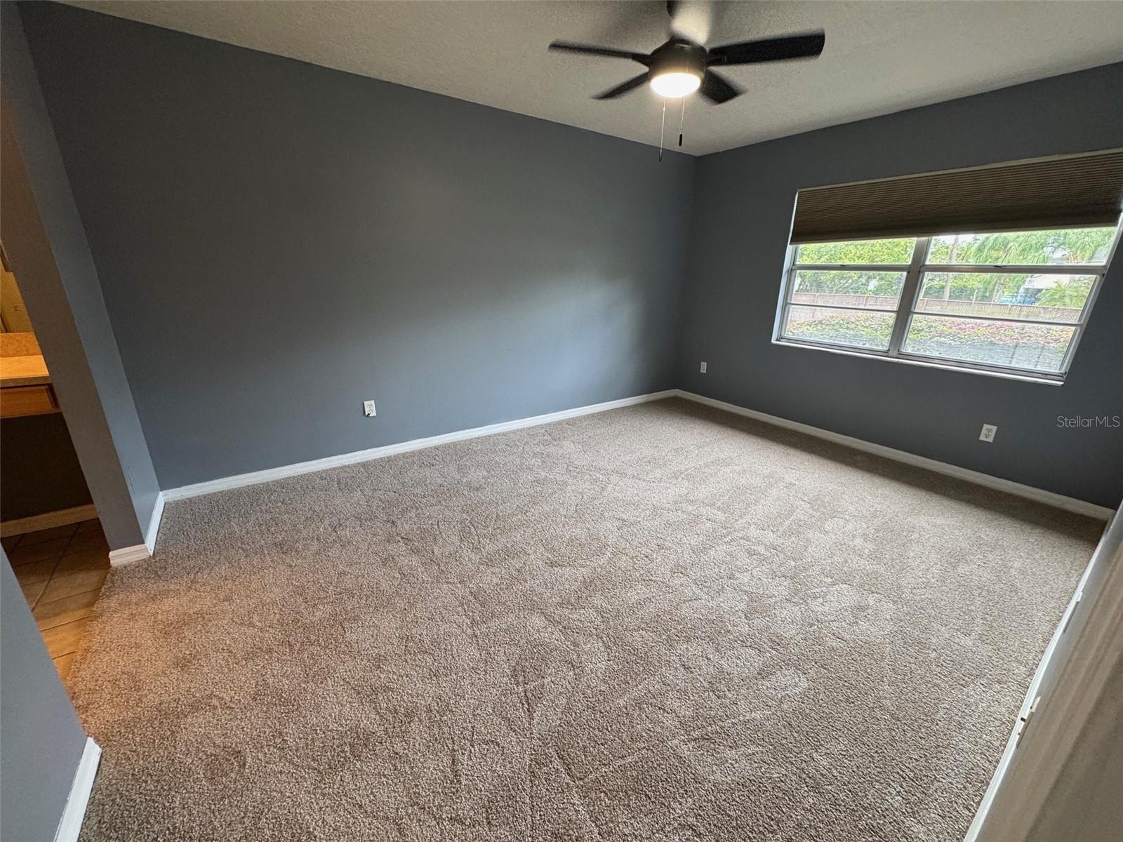Image 8 of 17 For 174 Hill Street 174