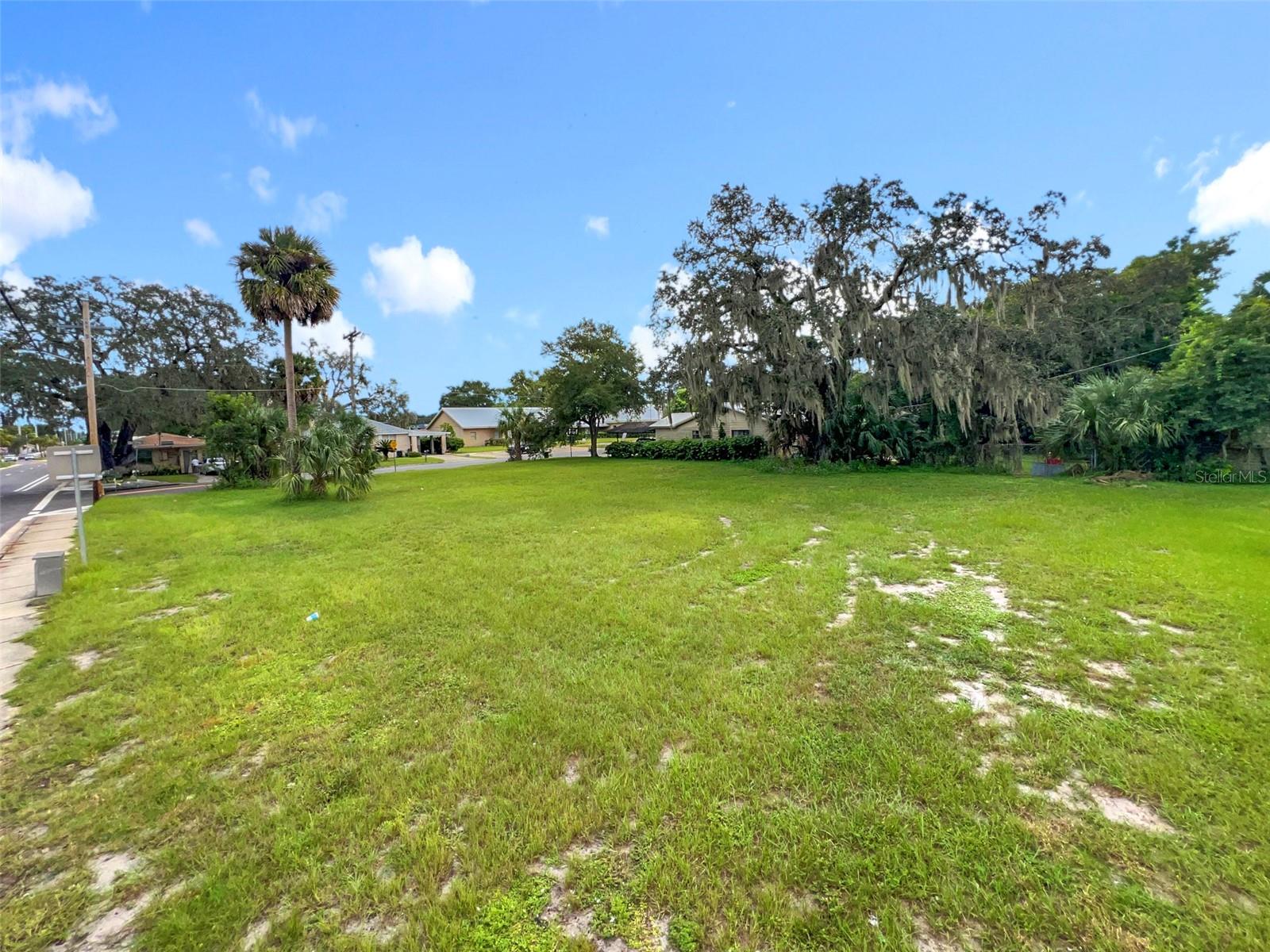 Image 8 of 12 For  Elm Avenue 