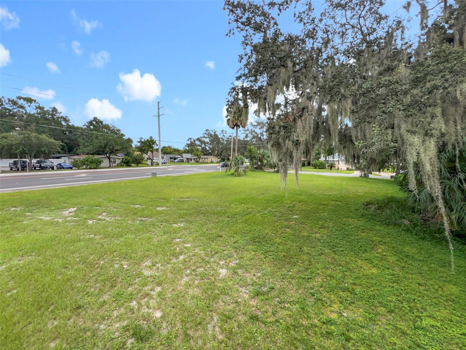 Image 9 of 12 For  Elm Avenue 