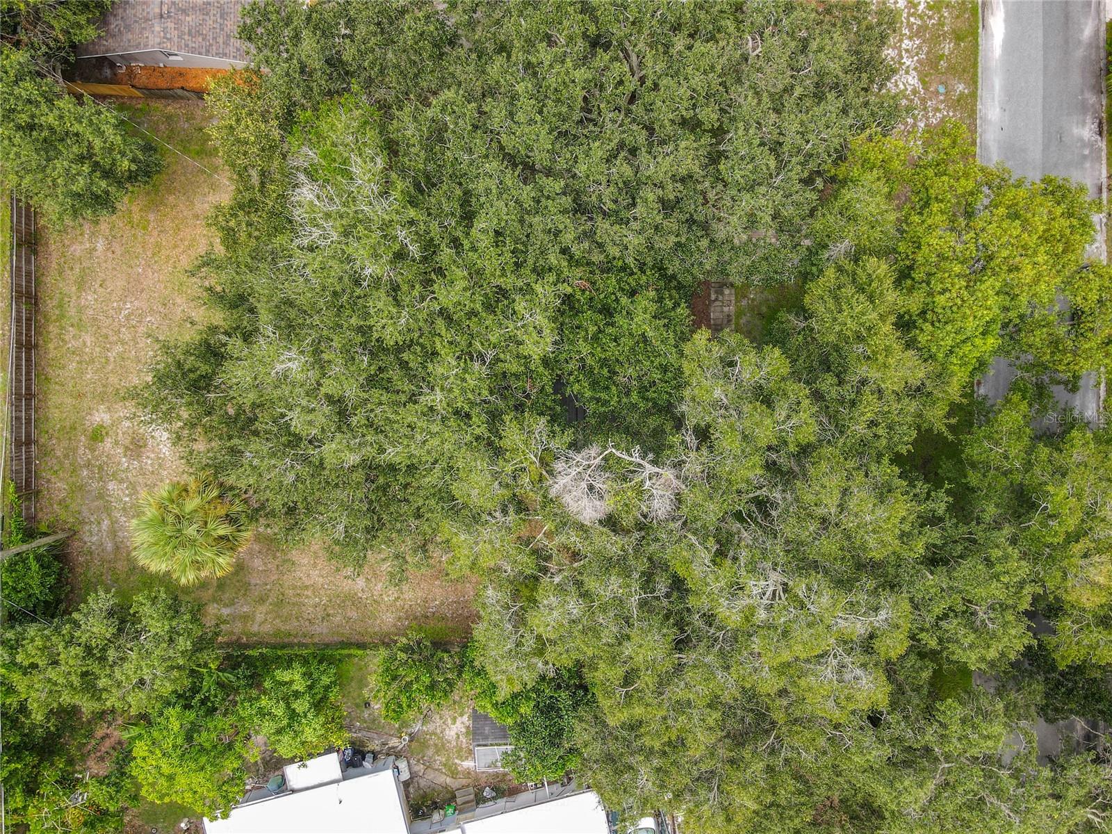 Image 33 of 36 For 2402 Stevens Avenue