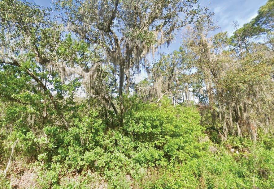 Details for 119 Temple Avenue, CRESCENT CITY, FL 32112