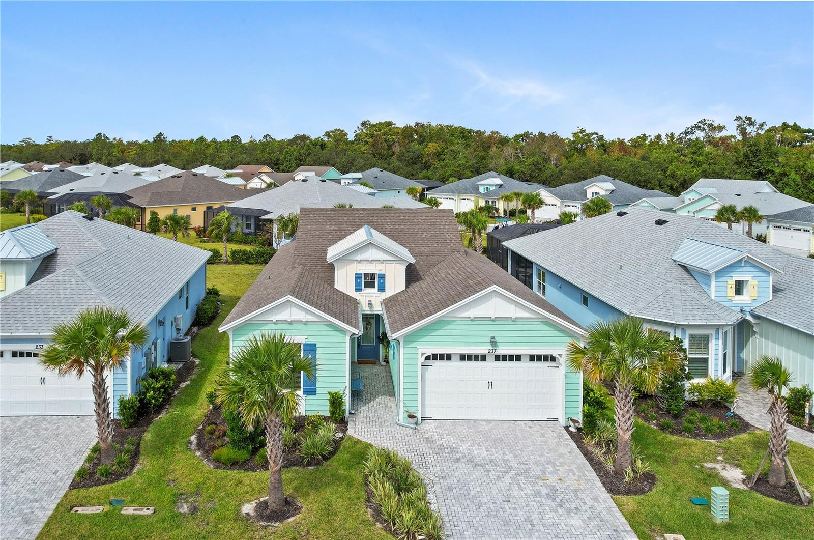 Image 2 of 47 For 237 Blue Starfish Place