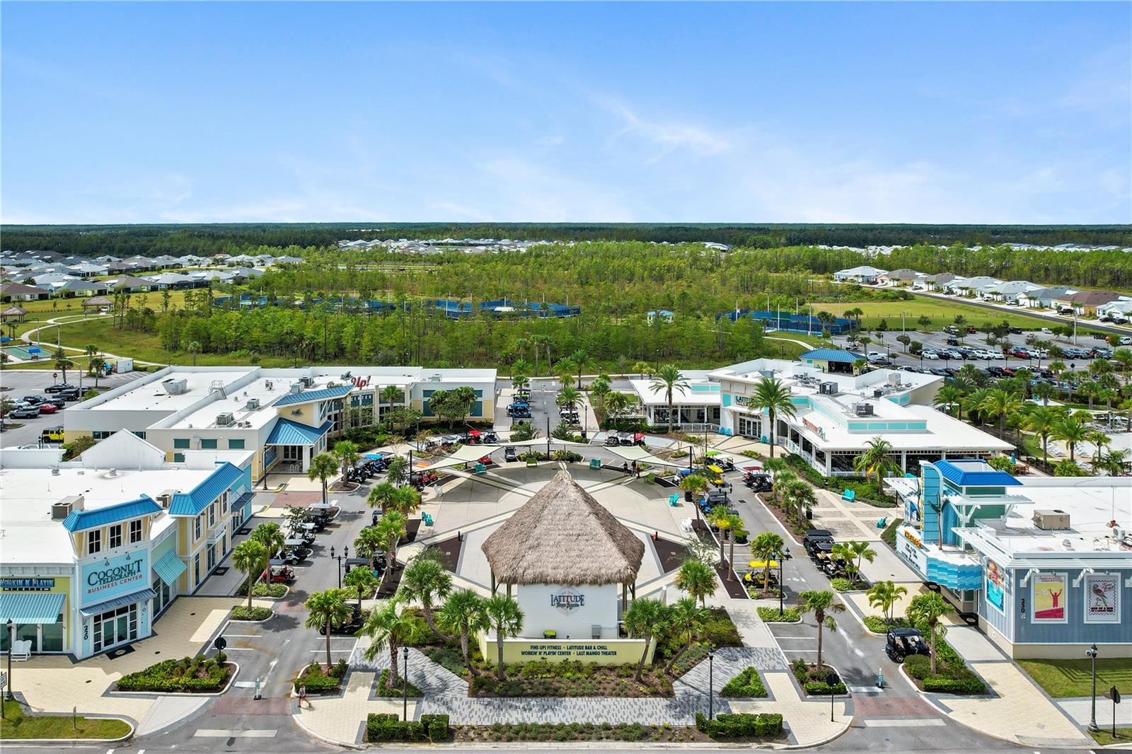 Image 43 of 47 For 237 Blue Starfish Place