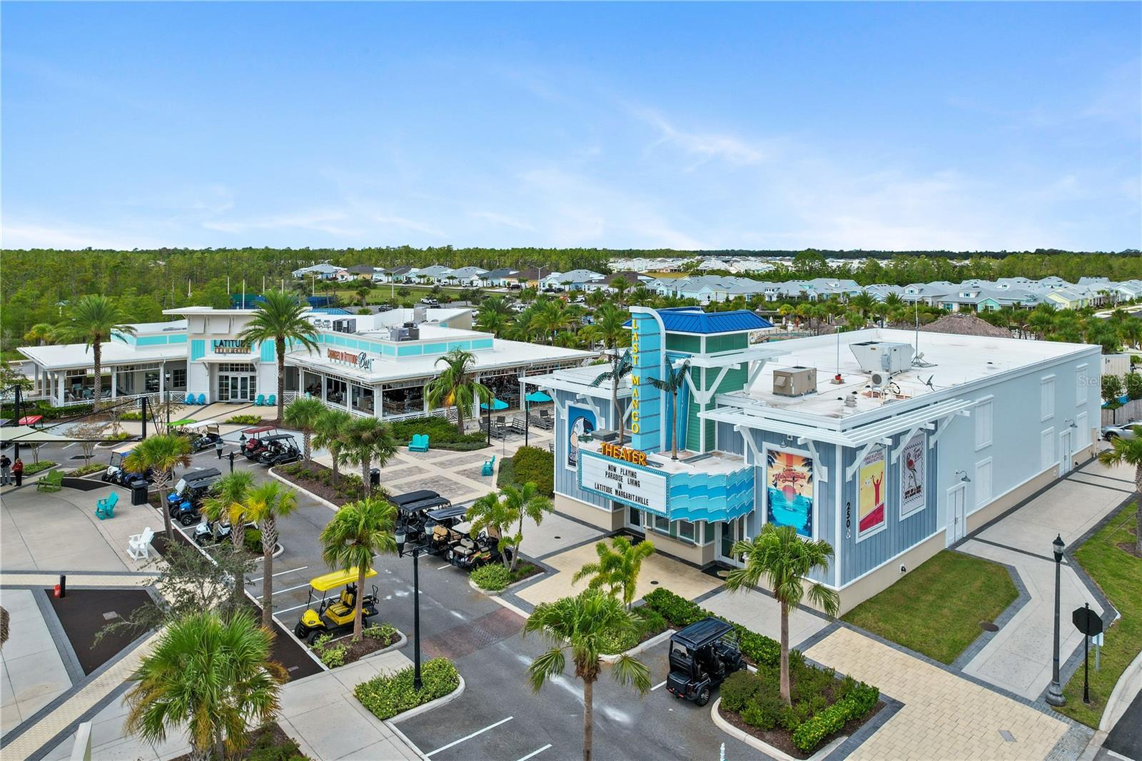 Image 45 of 47 For 237 Blue Starfish Place