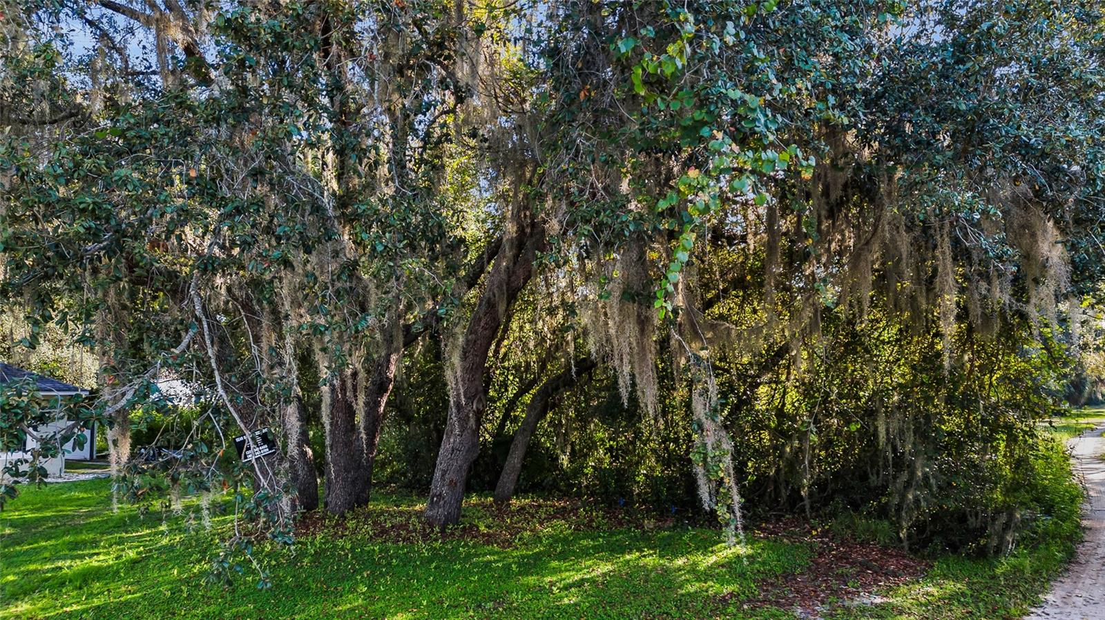 Image 2 of 12 For Casaurina Road