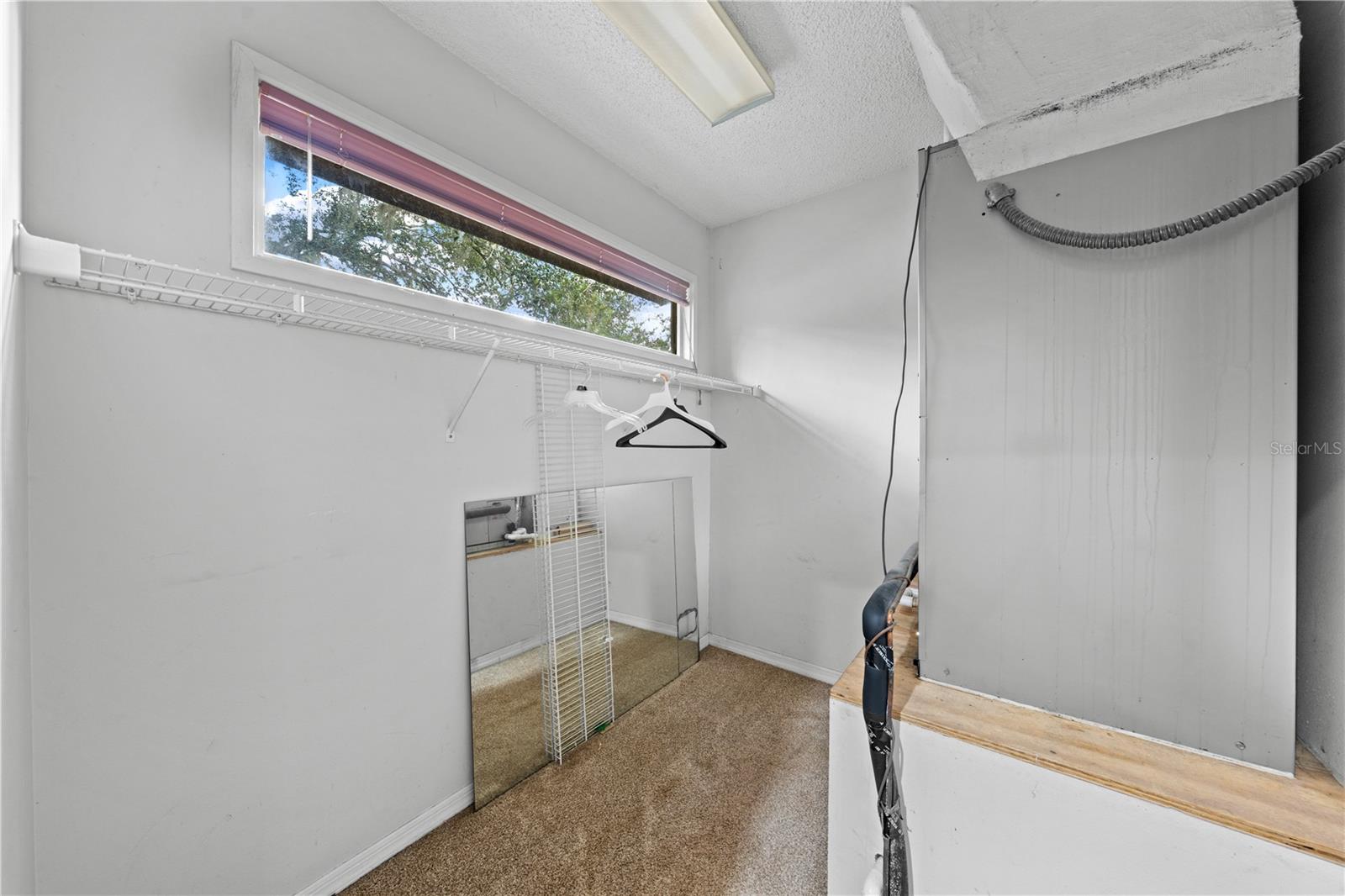 Image 38 of 72 For 1870 King Edward Drive