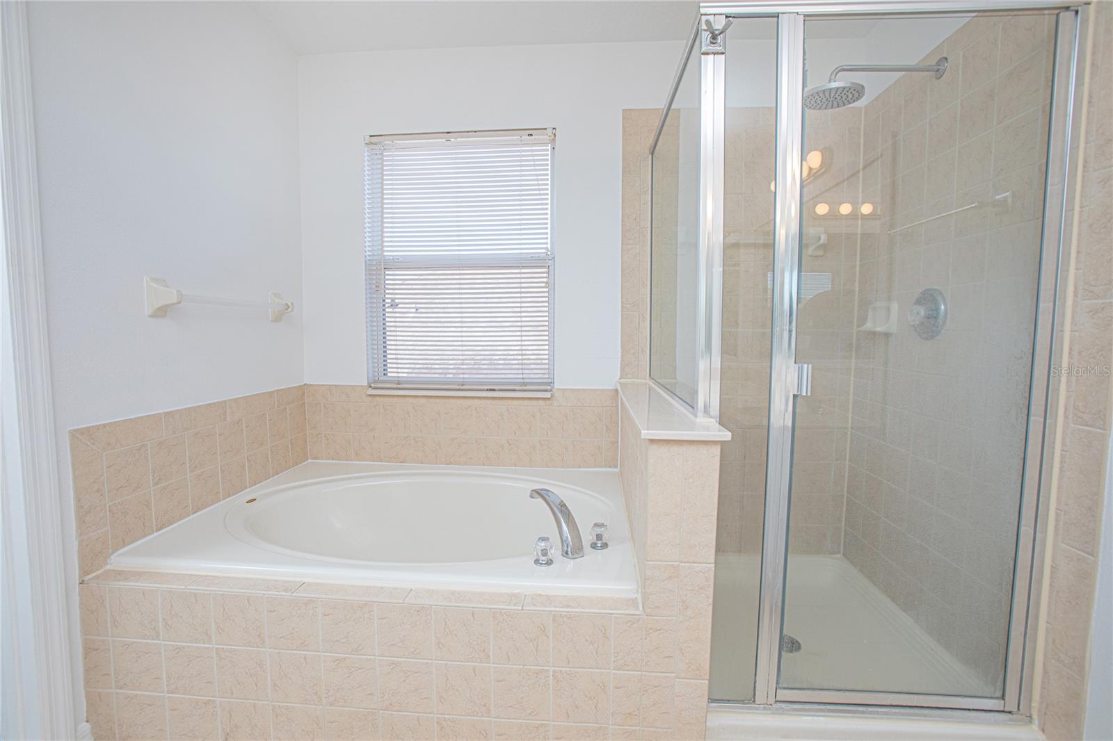 Image 39 of 48 For 10014 Medallion Bluff Lane