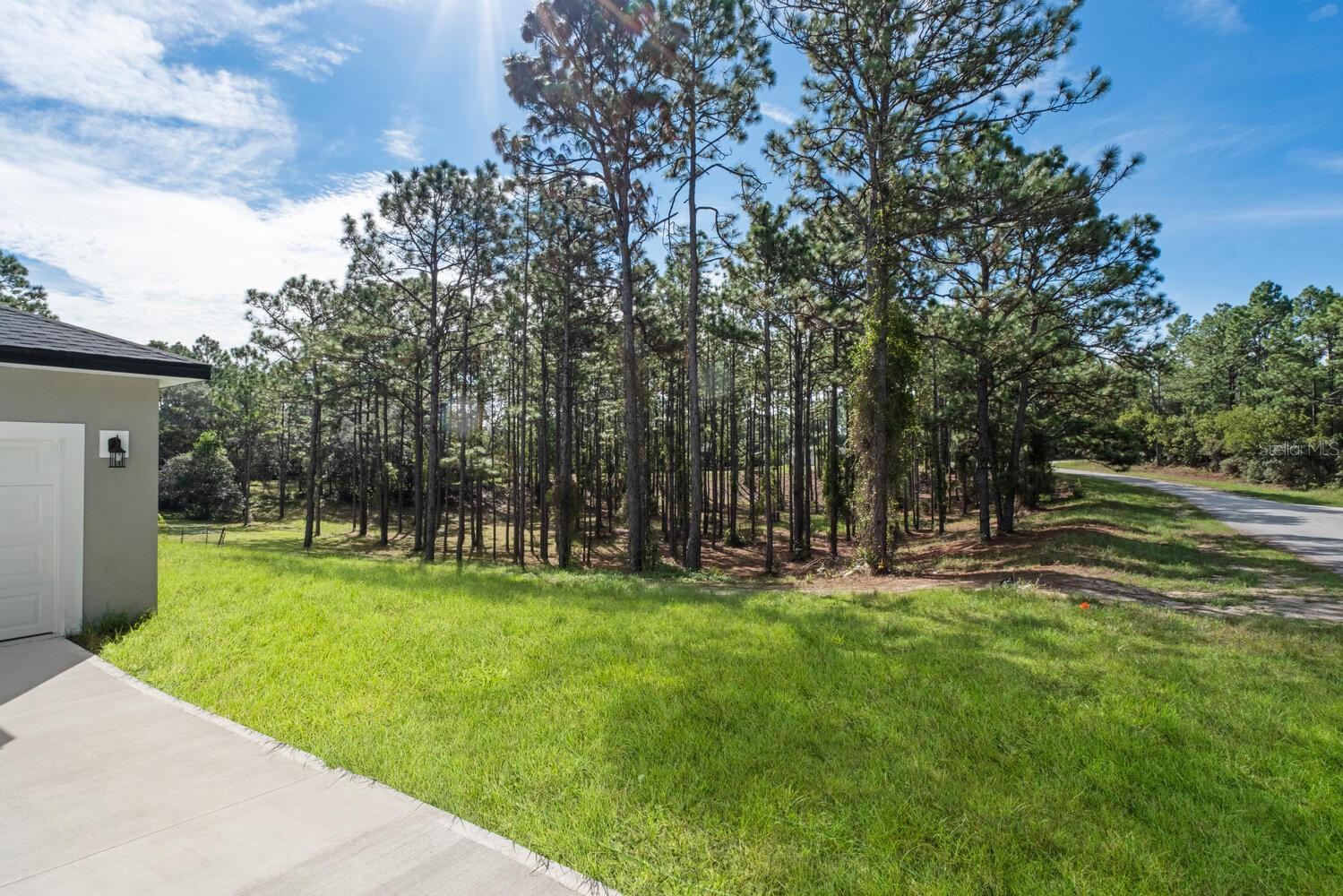 Listing photo id 3 for 9371 Cougar Paw Drive