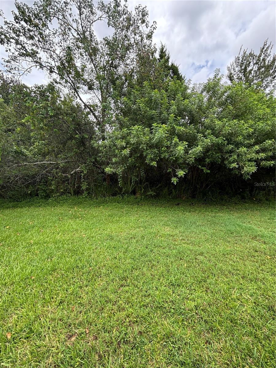 Image 23 of 25 For 1135 Madeira Key Way