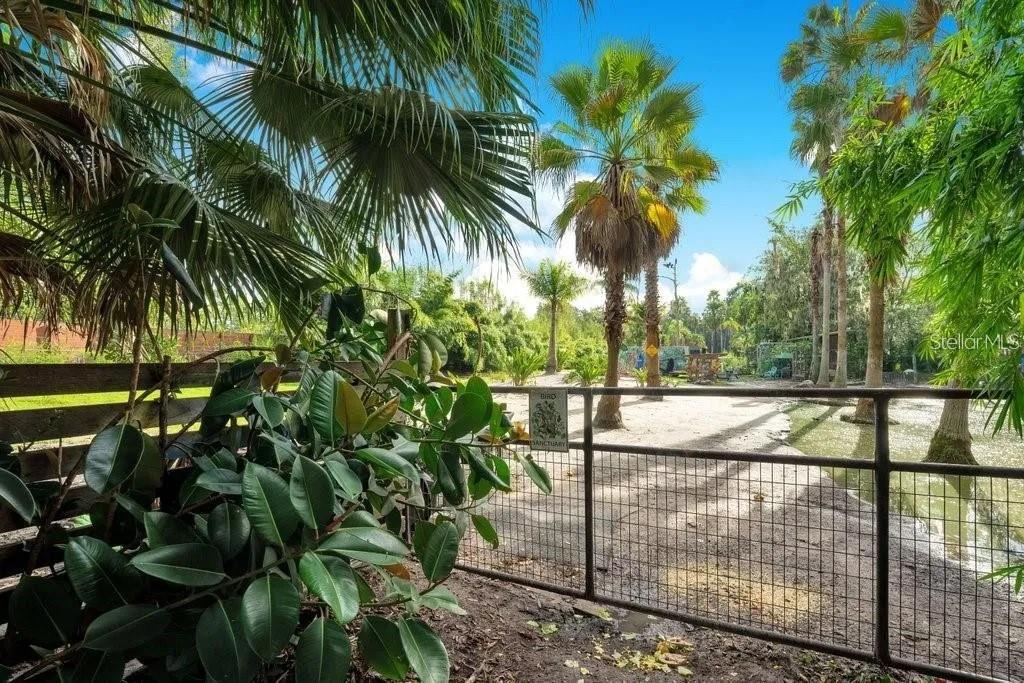 Details for 805 Baron Road, ORLANDO, FL 32828